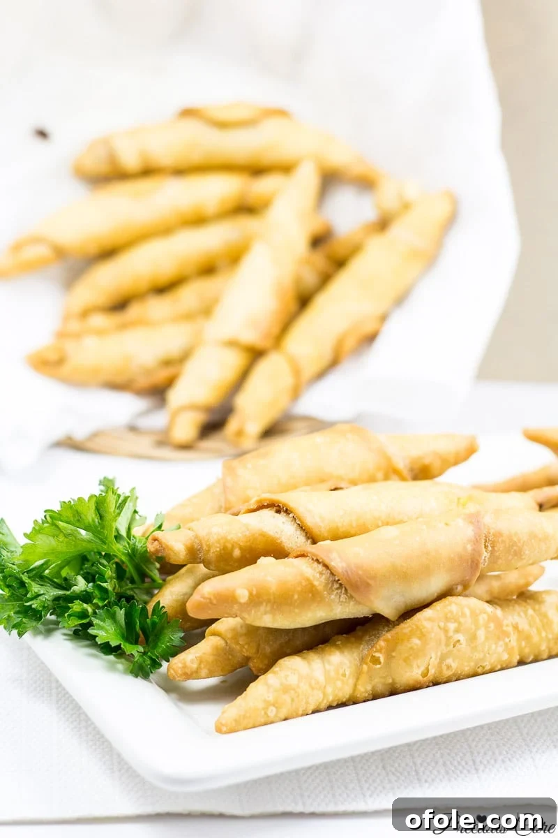 Plate of the best Cameroonian fish rolls recipe