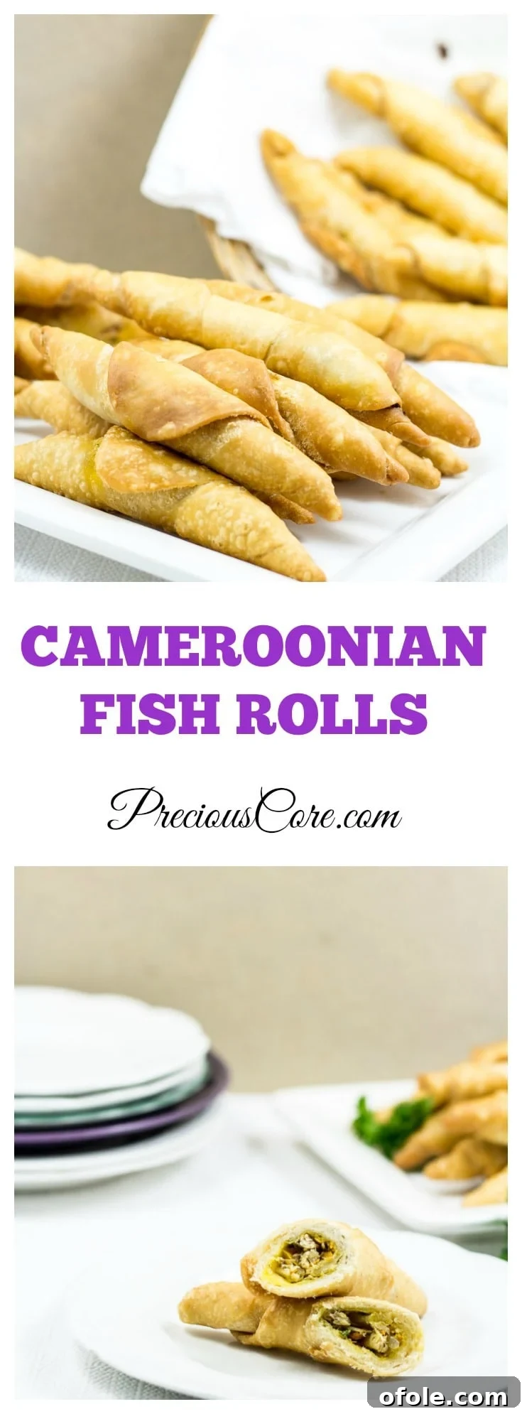 Best Cameroonian fish rolls recipe and video tutorial