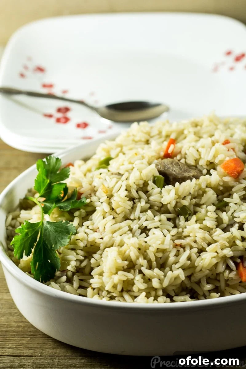Cameroonian Coconut Rice in a large serving bowl, showcasing its rich texture.