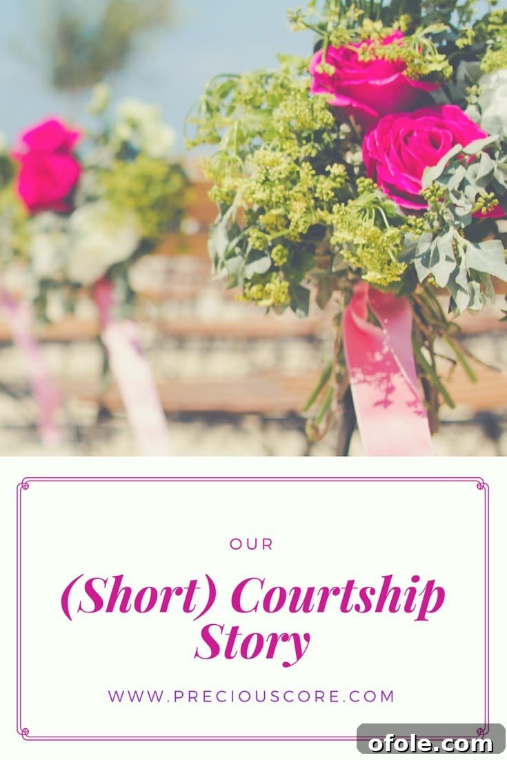 The Dawning of Our Love 2 Christian courtship