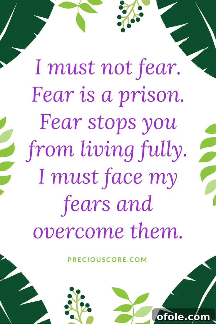 Overcoming fear of dogs: A personal journey
