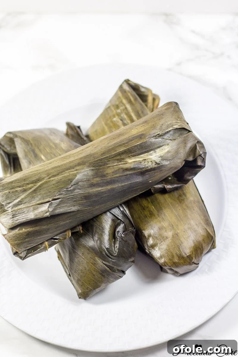Koki Golden Corn 2 Koki Corn: The Ultimate Cameroonian Fresh Corn Tamales Recipe