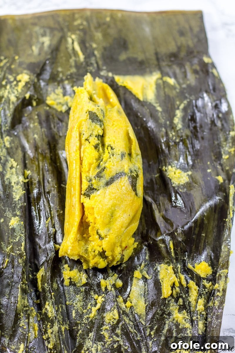 Koki Golden Corn 3 Savory and Sweet African Corn Tamales Wrapped in Banana Leaf