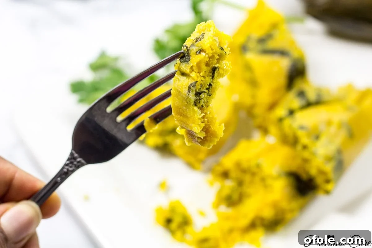 Koki Golden Corn 6 The Best Koki Corn Recipe: A Flavorful African Delicacy