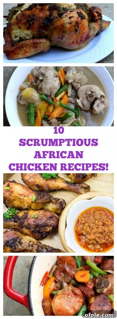 10 Irresistible African Chicken Dishes 3 Collection of best African chicken recipes, vibrant and enticing.
