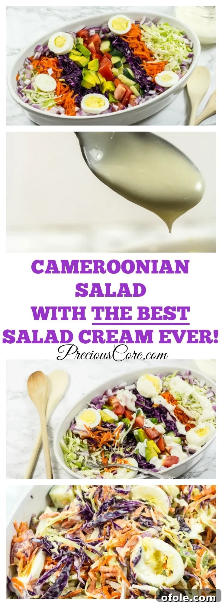 Cameroonian Vegetable Salad with Homemade Cream 6 The best and most delicious Cameroonian salad, perfectly dressed and ready to be enjoyed.
