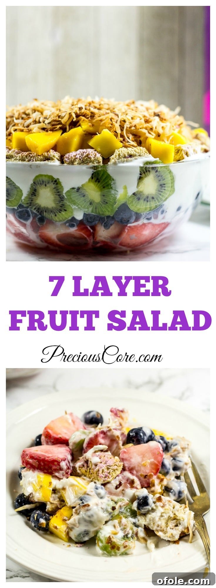 Vibrant Seven Layer Fruit Stack 15 7 Layer Fruit Salad - Precious Core