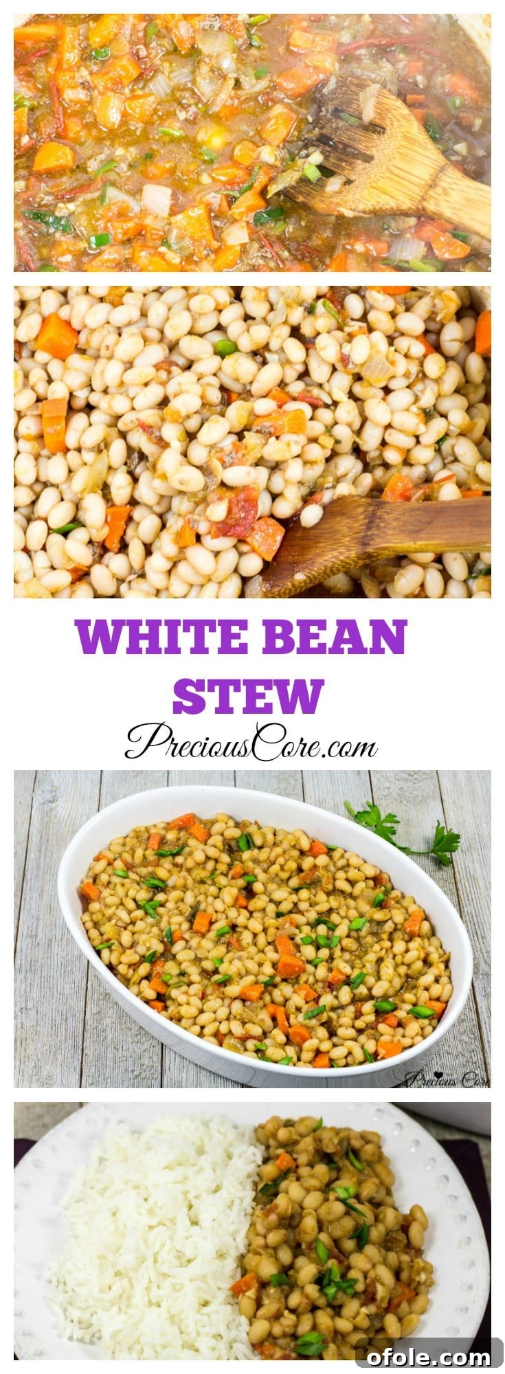 Wholesome White Bean Pot 8 Stewed white beans with tomatoes.