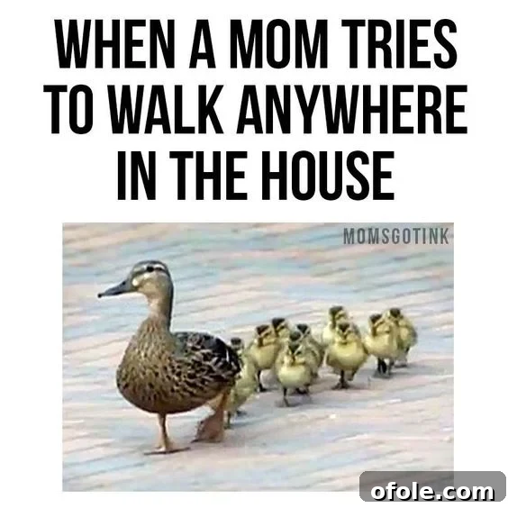 15 Relatable Memes That Perfectly Capture My Mom Life 5 Funny meme about kids following mom everywhere, even to the bathroom