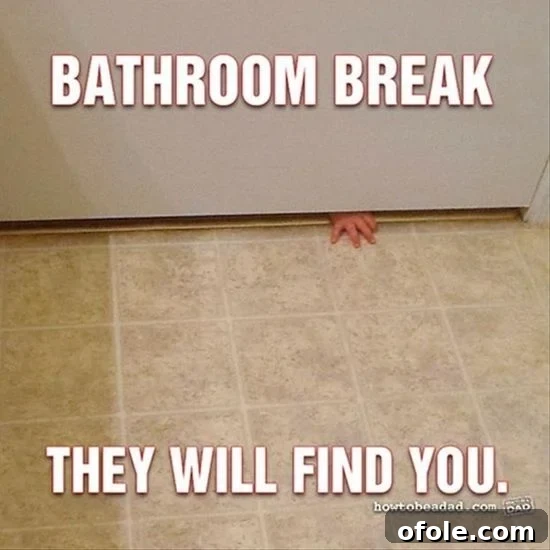 15 Relatable Memes That Perfectly Capture My Mom Life 6 Funny meme depicting a toddler following a parent into the bathroom