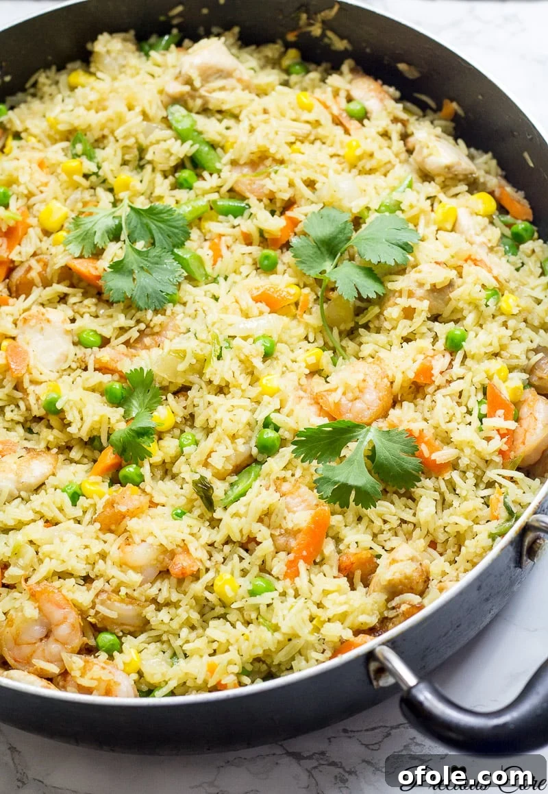 African Fusion Chicken & Shrimp Fried Rice 2 Best African fried rice - shrimp and chicken fried rice recipe