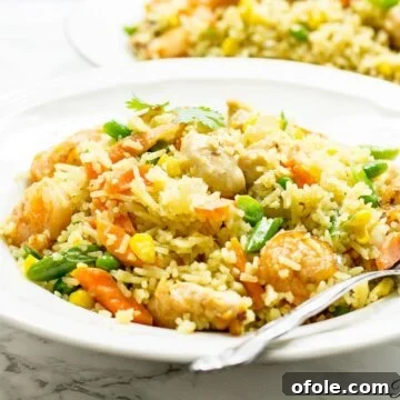 African Fusion Chicken & Shrimp Fried Rice 5 African fried rice recipe