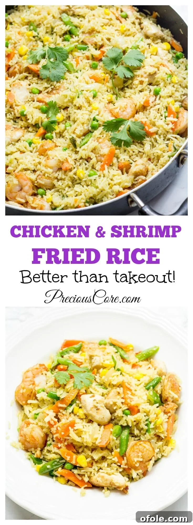 African Fusion Chicken & Shrimp Fried Rice 6 Best fried rice recipe