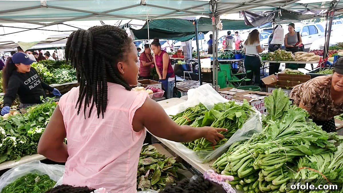 African Harvest in America My First Farmers Market Adventure 2 First vlog