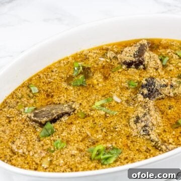 The Next Title 5 White, oblong bowl of Edusi stew, garnished with herbs.