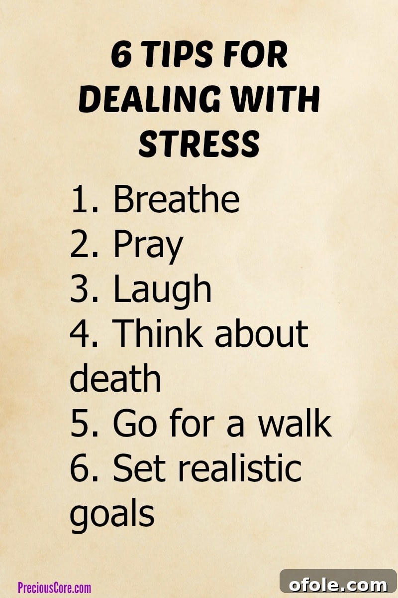 July Highlights 2 Mindfulness and stress relief concept