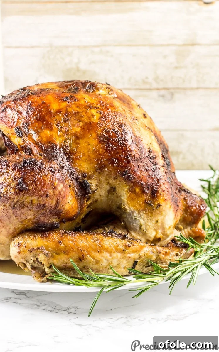 The best juicy roast turkey