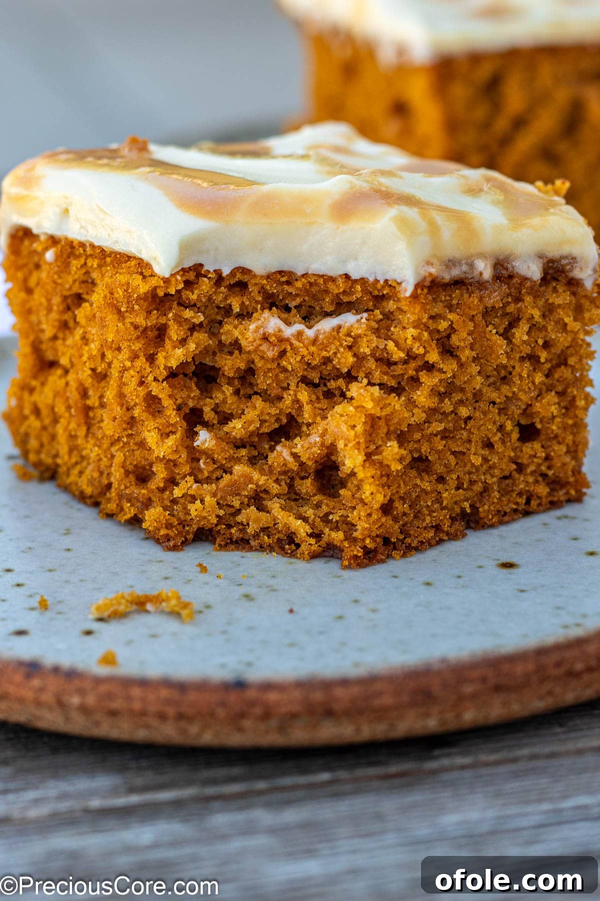 Spiced Pumpkin Cake with Luscious Cream Cheese Frosting 2 Rich pumpkin cake generously topped with smooth, creamy cream cheese frosting, ready to be served.