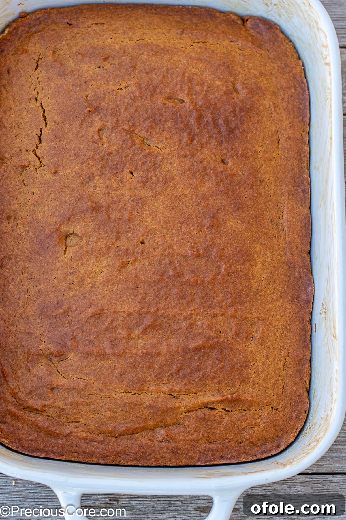 Spiced Pumpkin Cake with Luscious Cream Cheese Frosting 5 A beautifully golden-brown baked pumpkin cake, just out of the oven and cooling.