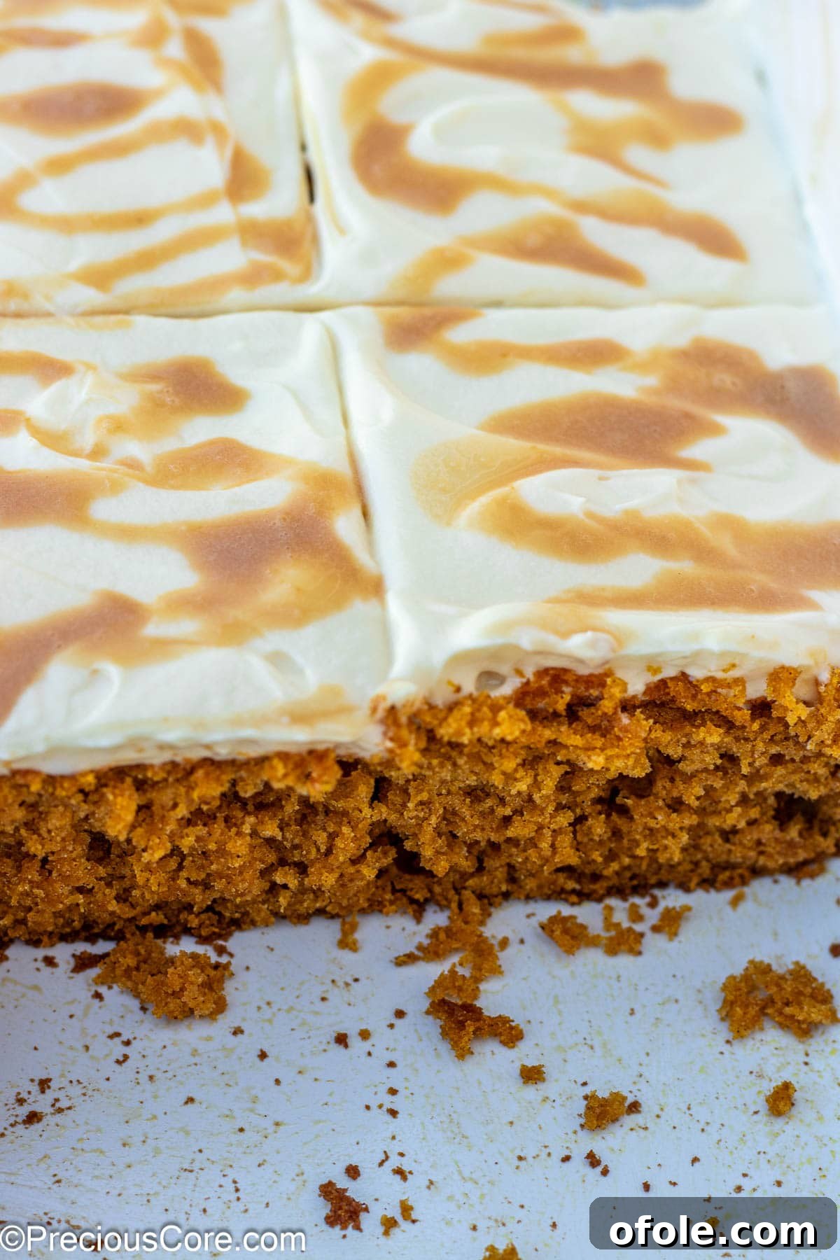 Spiced Pumpkin Cake with Luscious Cream Cheese Frosting 8 Several neat slices of pumpkin cake arranged from the larger cake, ready for serving.