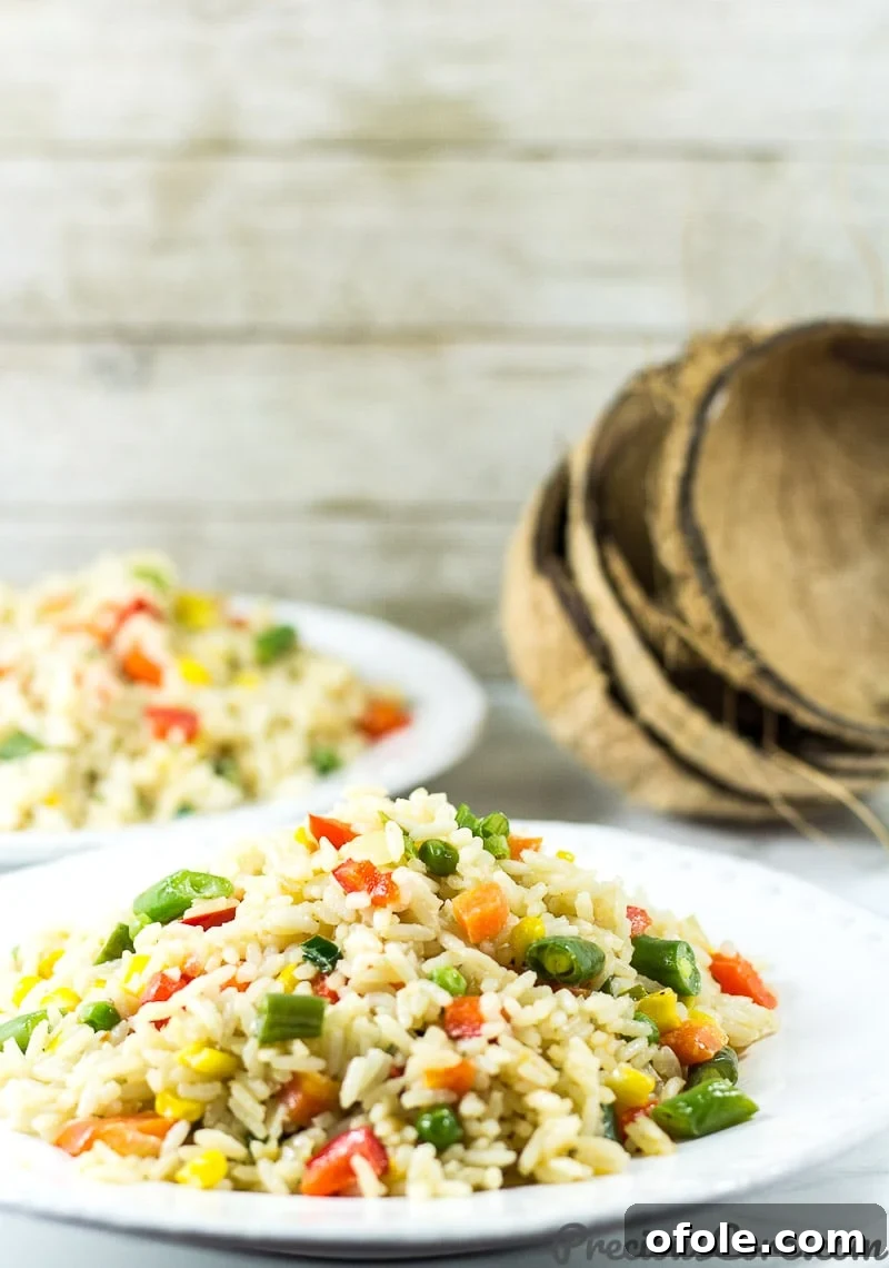 Sunshine Coconut Fried Rice 4 Coconut Fried Rice Recipe