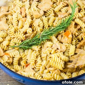 Velvety One Pot Chicken Macaroni 17 Macaroni and Chicken dinner recipe main image