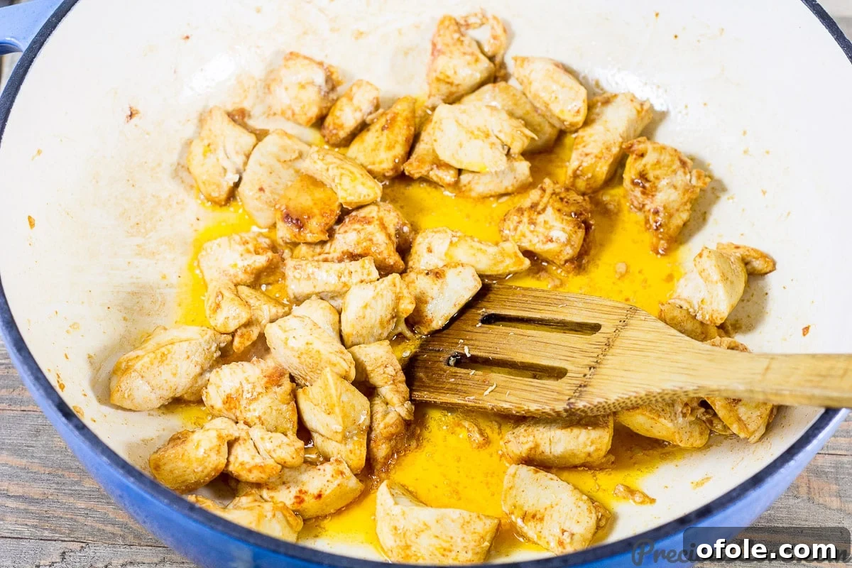 Velvety One Pot Chicken Macaroni 6 Macaroni and Chicken dinner recipe step 2 - Searing paprika-seasoned chicken