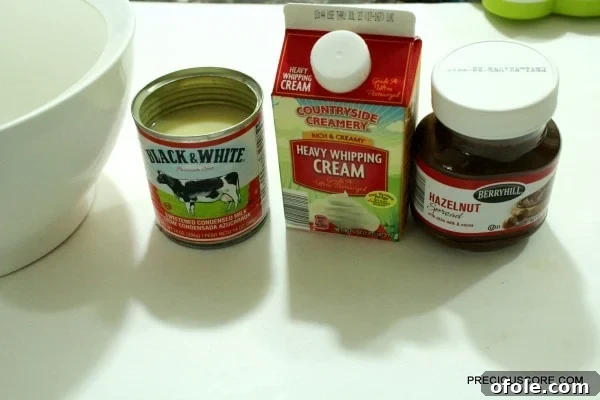 Effortless Chocolate Ice Cream 3 Three main ingredients for chocolate ice cream: heavy cream, condensed milk, chocolate spread