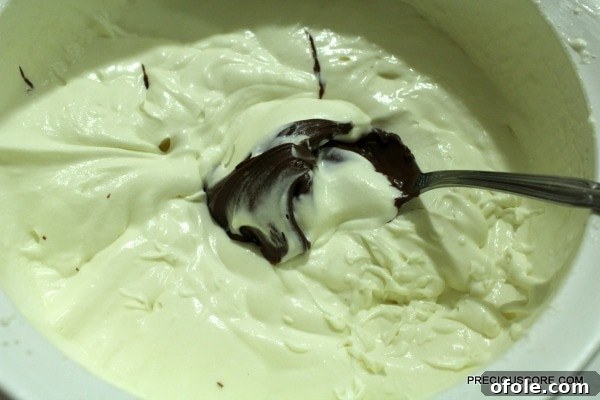 Effortless Chocolate Ice Cream Recipe 5 Adding chocolate spread to the whipped cream mixture