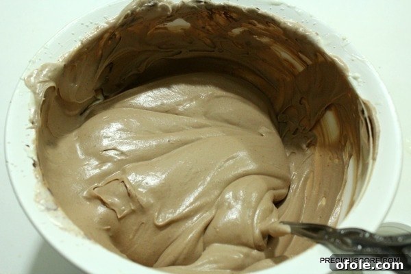 Effortless Chocolate Ice Cream Recipe 6 Gently folding chocolate spread into the cream base