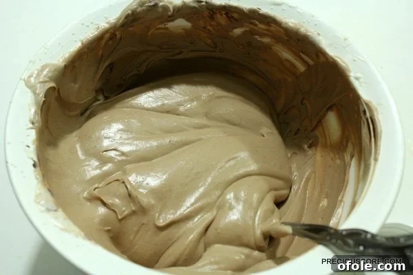 Effortless Chocolate Ice Cream 6 Gently folding chocolate spread into the creamy base