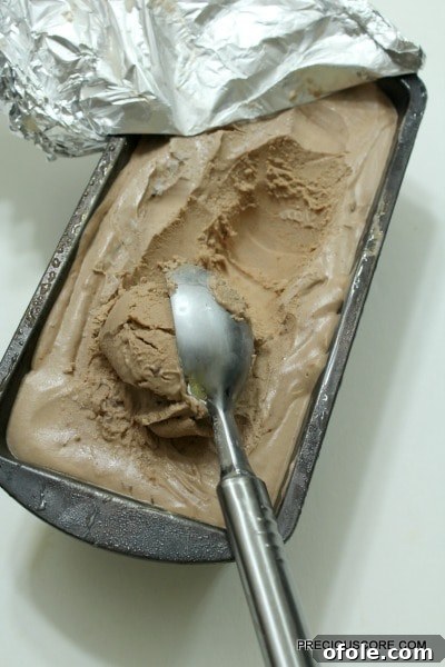 Effortless Chocolate Ice Cream Recipe 8 Scoops of homemade no-churn chocolate ice cream