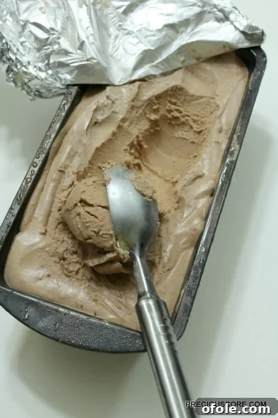 Effortless Chocolate Ice Cream 8 Scoop of finished no-churn chocolate ice cream