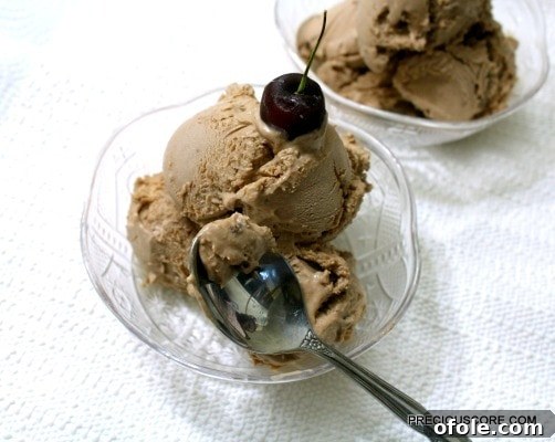 Effortless Chocolate Ice Cream Recipe 9 Close-up of a scoop of creamy chocolate ice cream