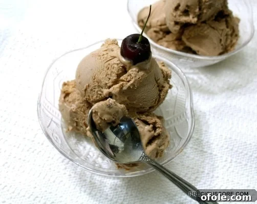 Effortless Chocolate Ice Cream 9 Close-up of a scoop of creamy chocolate ice cream