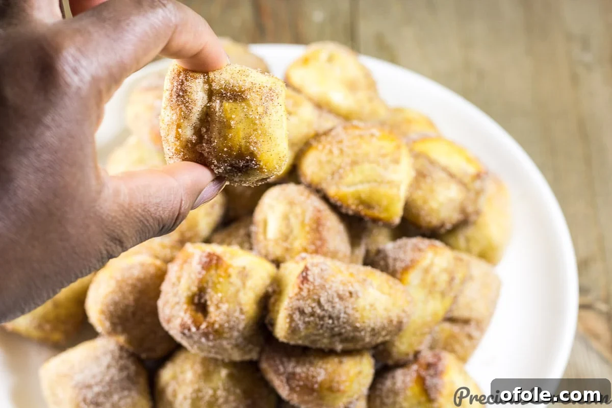 Chewy Cinnamon Sugar Pretzel Delights 2 Enjoying warm, homemade Cinnamon Sugar Pretzel Bites fresh out of the oven.