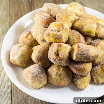 Chewy Cinnamon Sugar Pretzel Delights 6 Recipe for Cinnamon Sugar Pretzel Bites