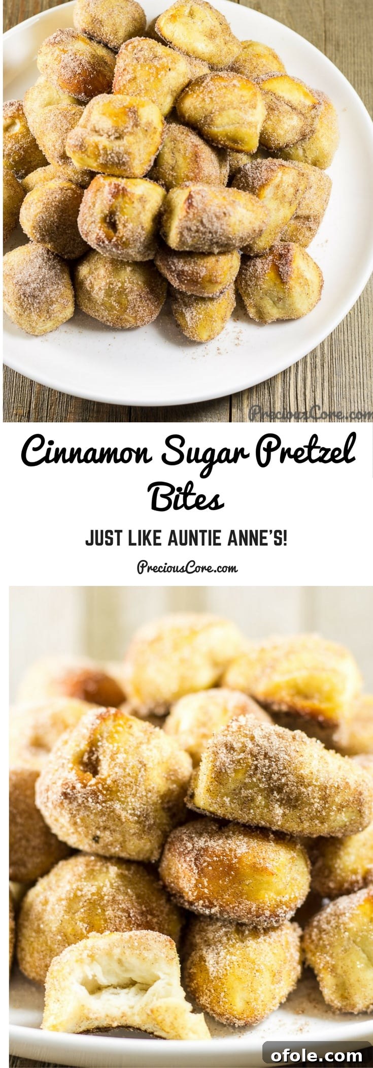 Chewy Cinnamon Sugar Pretzel Delights 7 A collage featuring Cinnamon Sugar Pretzel Bites with text: