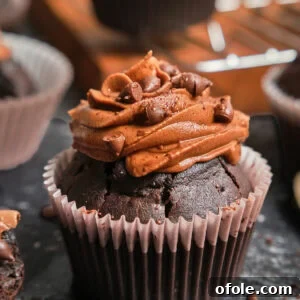 Zoom-in on a chocolate cupcake with chocolate frosting.