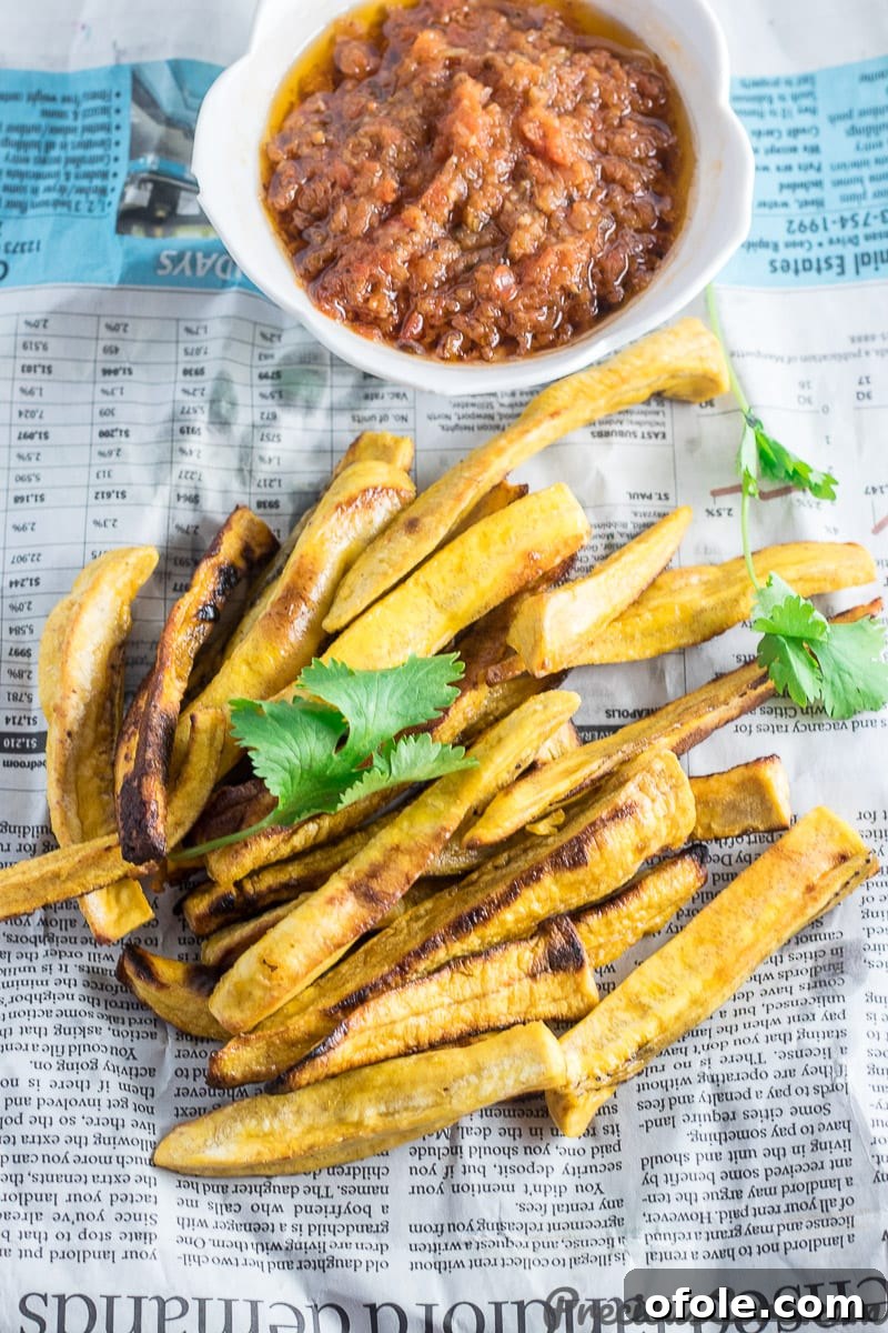 Plantain Fries 2 Golden baked plantain fries served alongside a vibrant African Pepper Sauce, garnished with fresh cilantro.