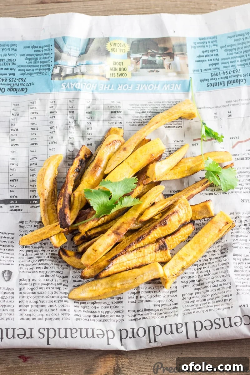 Plantain Fries 3 Close-up of baked plantain fries, subtly garnished with fresh cilantro, showcasing their golden-brown crispness.