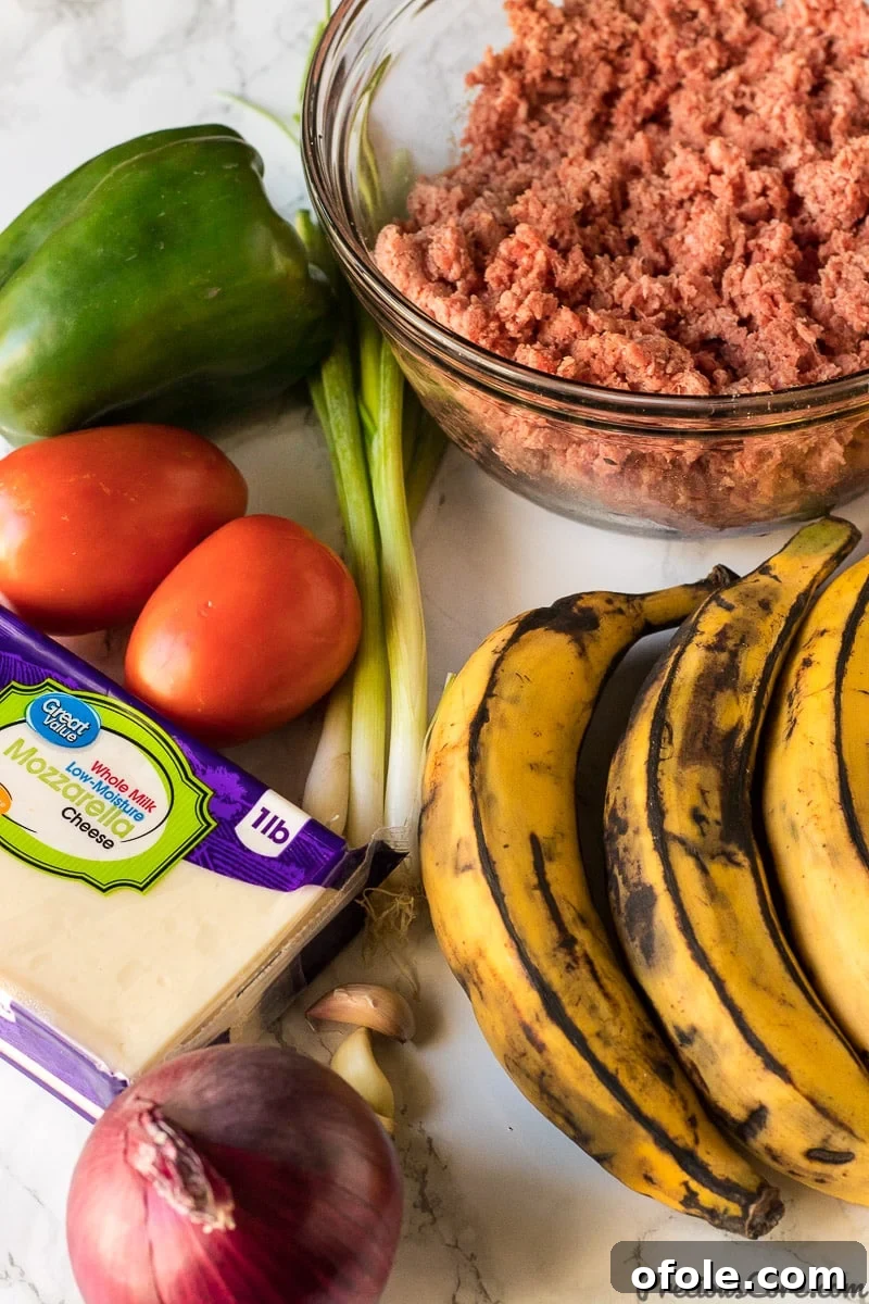 Pastelon: Plantain Lasagna 5 Plantain Lasagna best plantains to use and other ingredients. Fresh and high-quality for optimal taste.