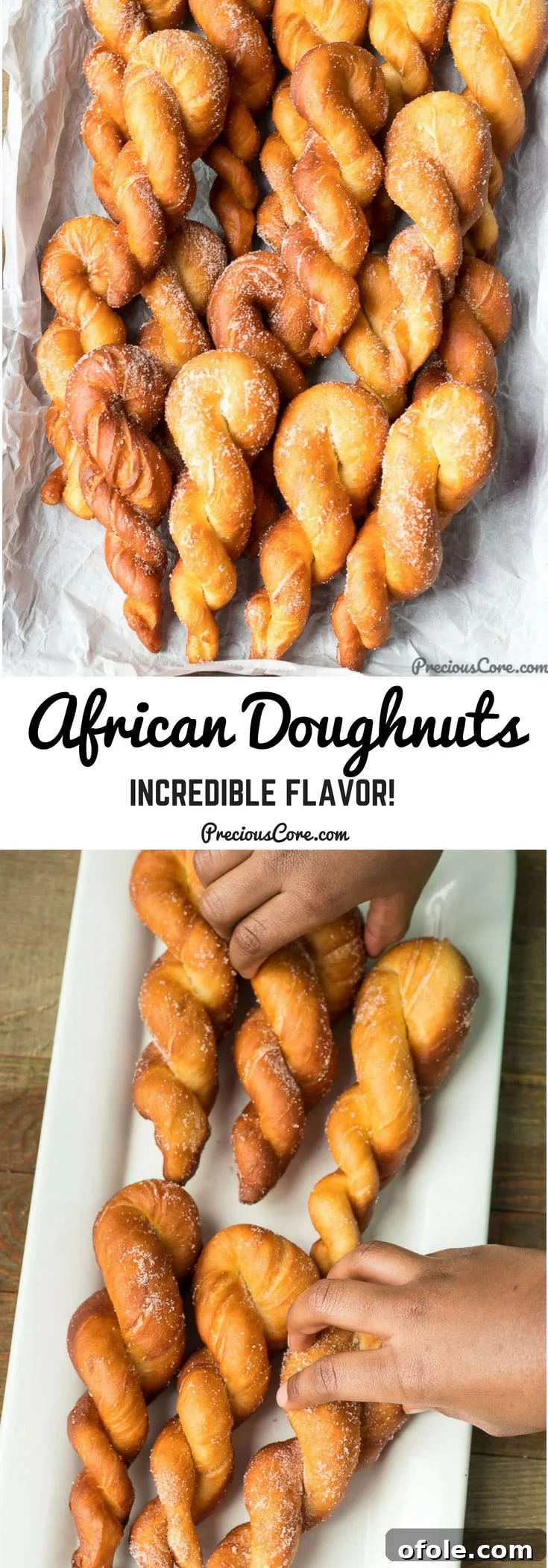 Close up of perfectly fried and sugared twisted doughnuts.