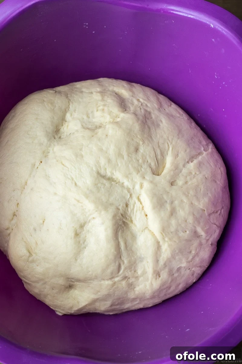 Dough for African doughnuts rising in a bowl, ready for shaping.