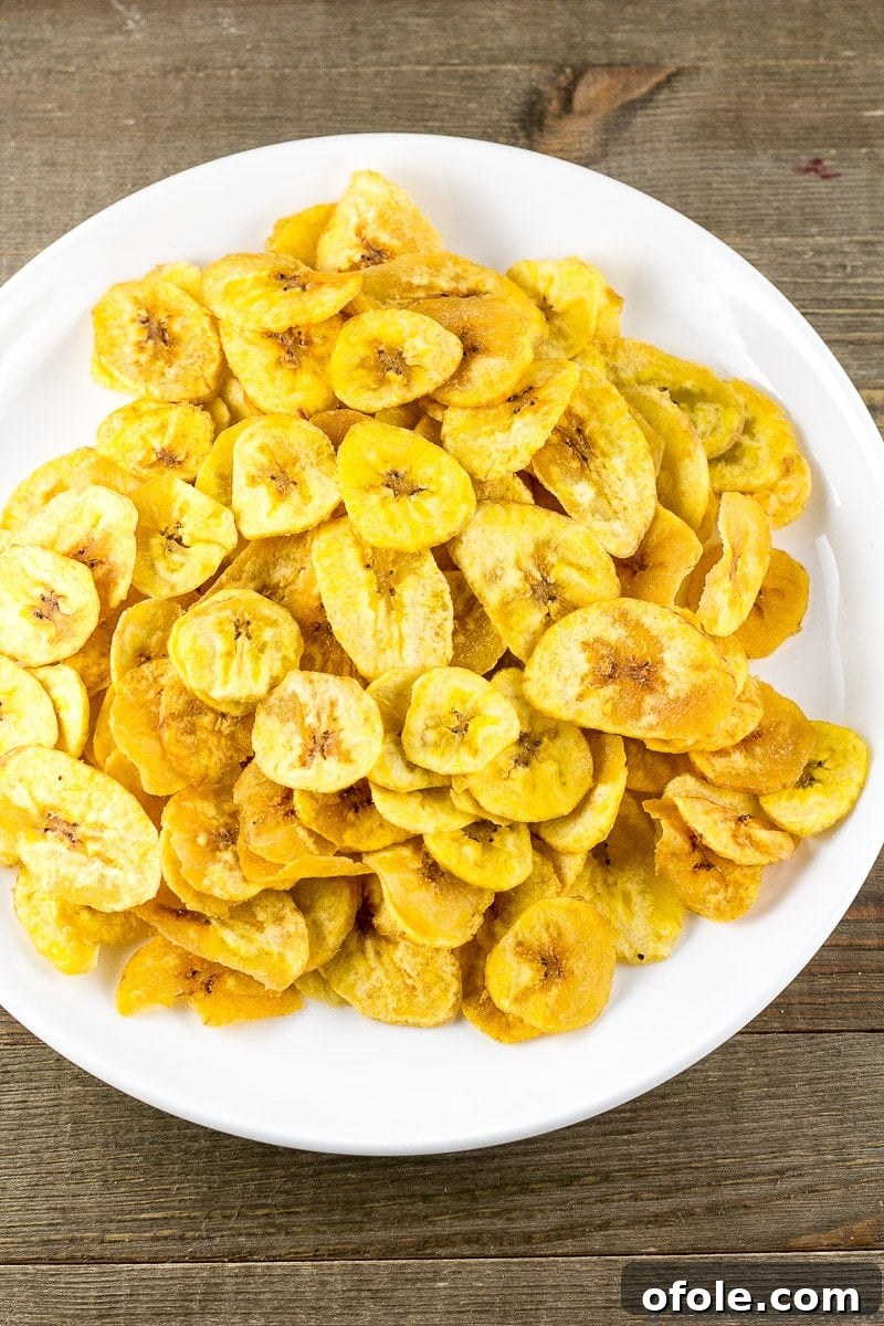The Secret to Perfectly Crispy Plantain Chips 2 Homemade Crispy Plantain Chips elegantly arranged on a serving plate.