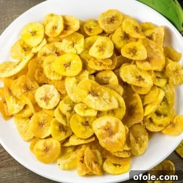 Crispy homemade Plantain Chips on a pristine white plate.