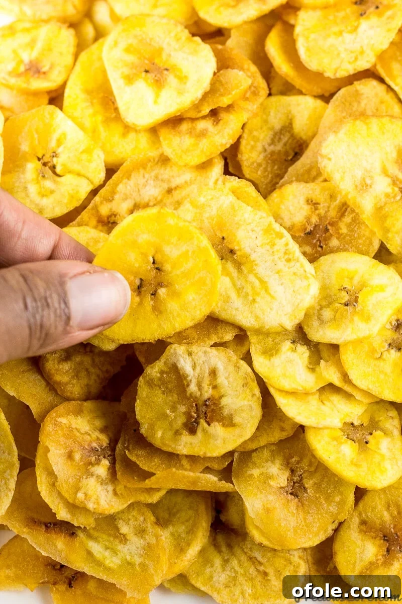 The Secret to Perfectly Crispy Plantain Chips 3 Freshly fried homemade plantain chips on a cooling rack.