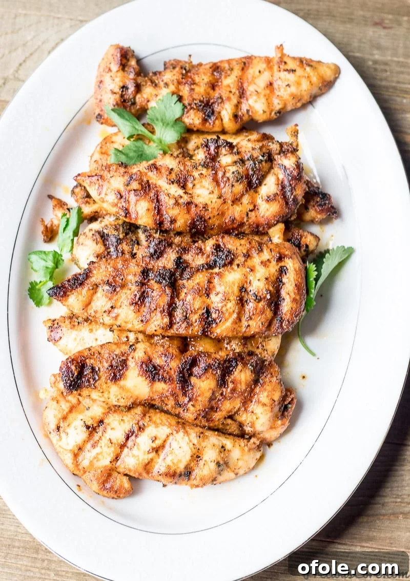 Grilled Chicken Tenders Perfection 2 Perfectly seasoned grilled chicken tenders on a plate with fries and ketchup