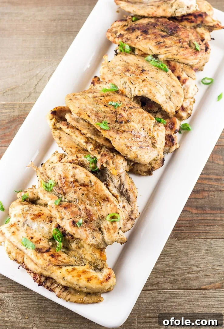 Grilled Chicken Tenders Perfection 5 Flattened grilled chicken tenders, ideal for sandwiches or wraps, showing even cooking