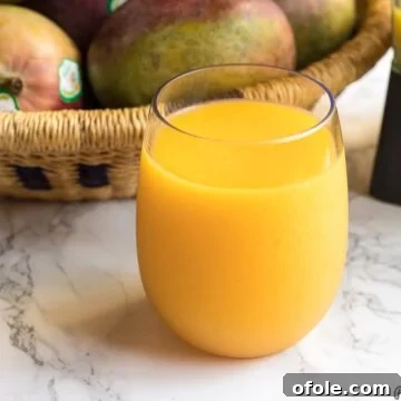 Homemade Mango Juice Recipe